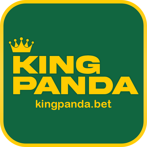 Imagem focada na experiência do usuário da kingpanda bet